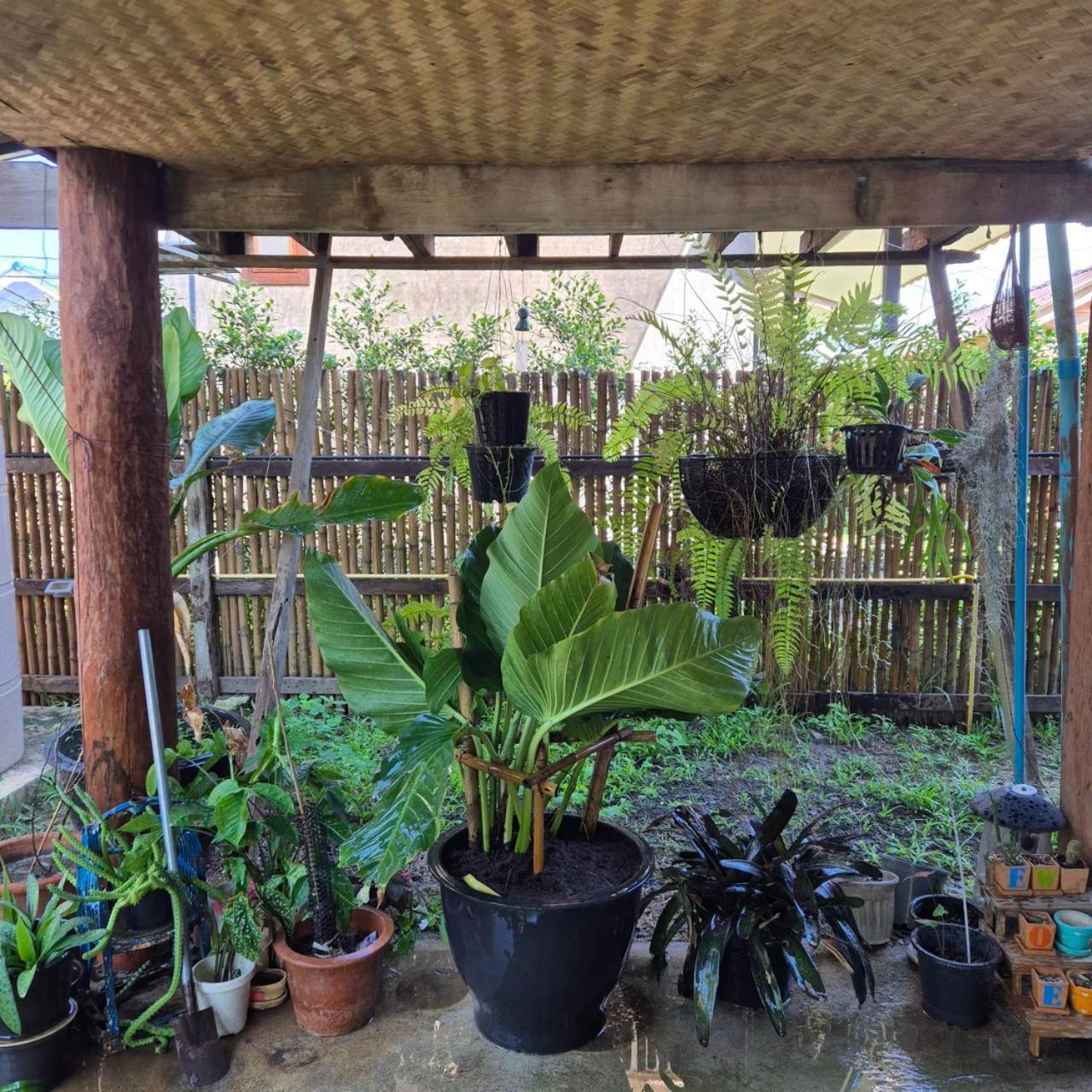 Kedthawa Homestay เฮือนเก็ดถะหวา Ban Cho Lae Екстериор снимка