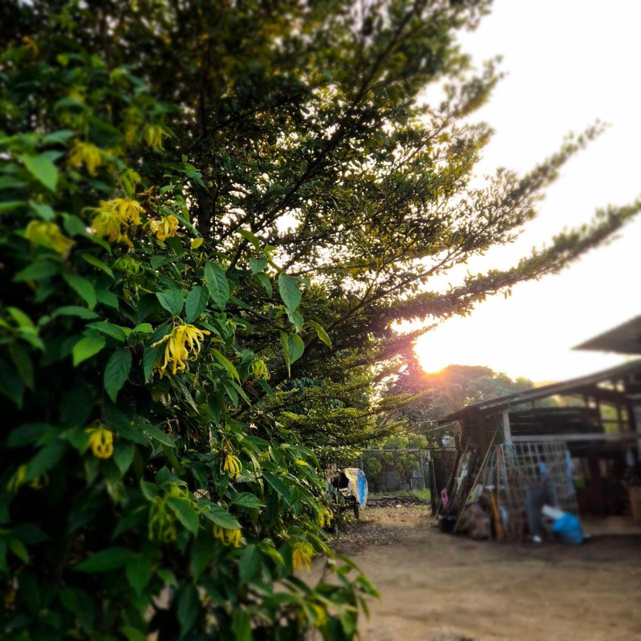 Kedthawa Homestay เฮือนเก็ดถะหวา Ban Cho Lae Екстериор снимка